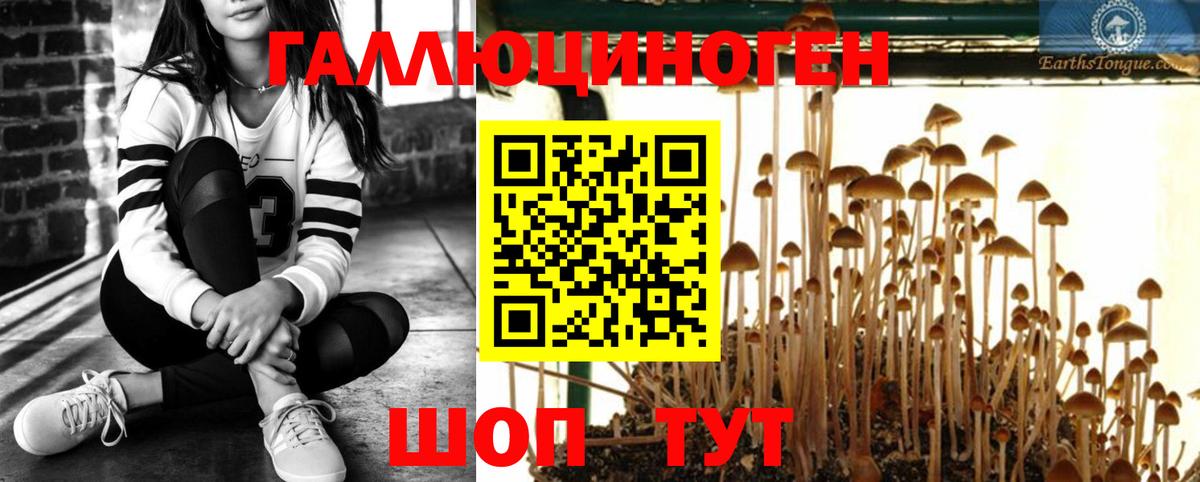 Ульяновск  Псилоцибиновые грибы Psilocybine cubensis  Вход с VPN 